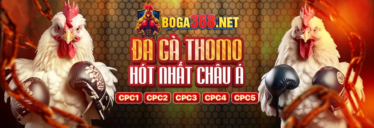 Sân chơi đá gà trực tuyến 8us54