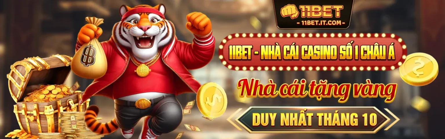 Hình ảnh chính của Blog 8us54