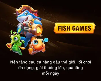 Tổng quan về điều khoản và điều kiện 8us54